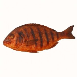 Grilled Fish